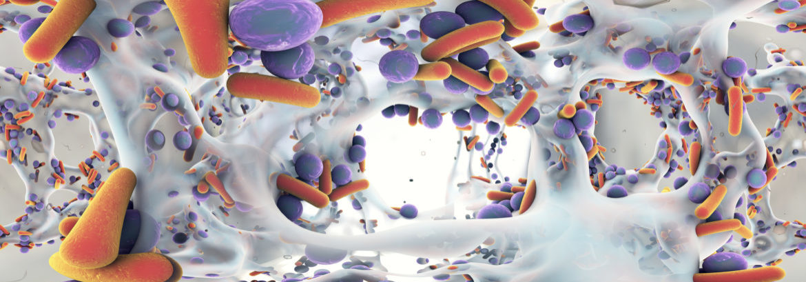 How Biofilms Impact Our Oral Health